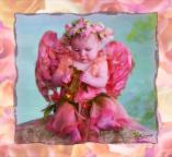 10527 Peach Angel  